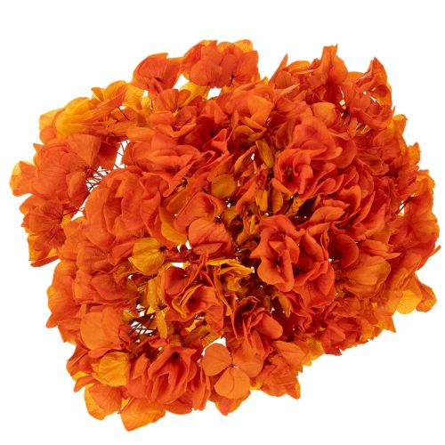 Hortensie konserviert gefärbt Große Blüte mit langem Stiel 60cm | Floristik24.de