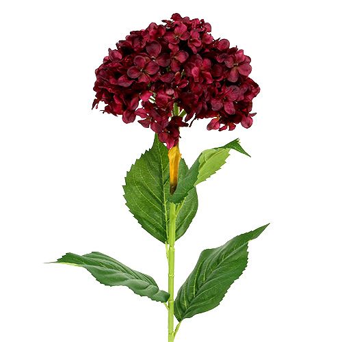 Floristik24.de Hortensie künstlich Dunkelrot 80cm 1St-78330