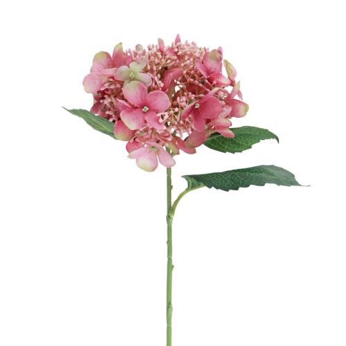 Floristik24 Hortensie künstlich Rosa und Grün Gartenblume mit Knospen 52cm
