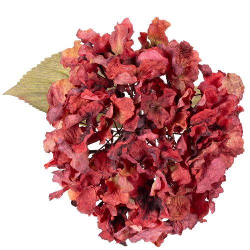 Künstliche Hortensie Blütenzweig Große Blüte 74cm | Floristik24.de