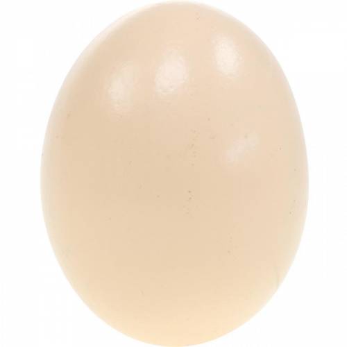 Artikel Hühnereier Creme Osterdeko Ausgeblasene Eier 10St