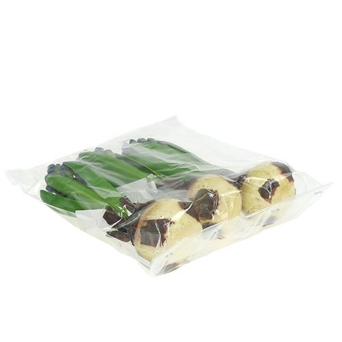 Floristik24 Hyazinthe mit Zwiebel Blau 15cm 3St