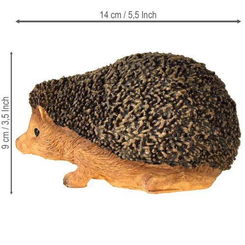 Floristik24 Igel Deko Figur Herbst Handbemalt Braun 14×9,5×9cm