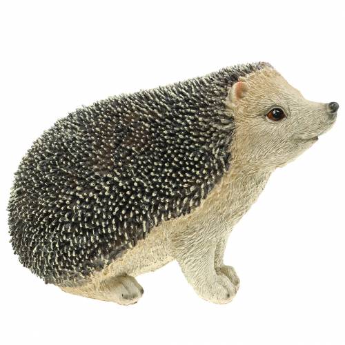 Floristik24 Dekofigur Igel 22cm