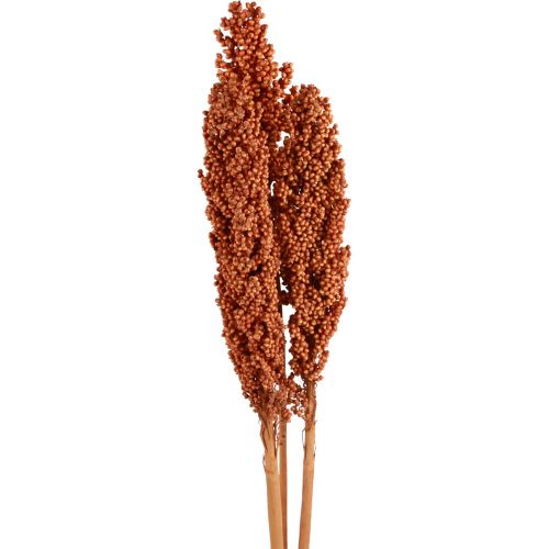 Artikel Indian Corn Trockenblumen Indischer Mais Orange 72cm 3St