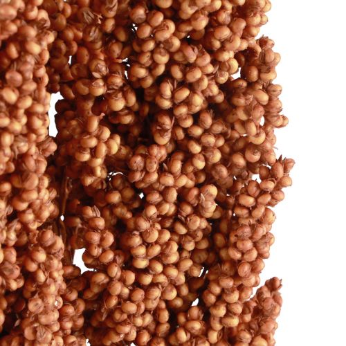 Artikel Indian Corn Trockenblumen Indischer Mais Orange 72cm 3St