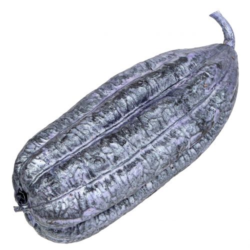 Floristik24 Luffa Frucht Violett 14cm – 20cm 10St