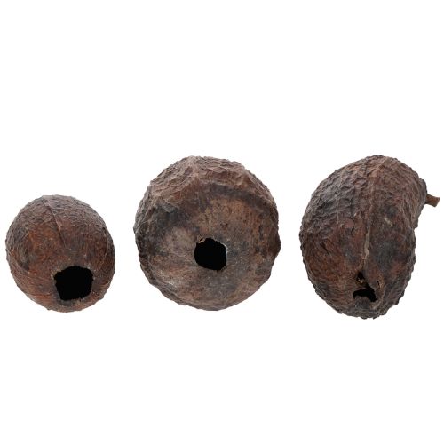 Artikel Kakaofrucht Natur 10-18cm 15 St