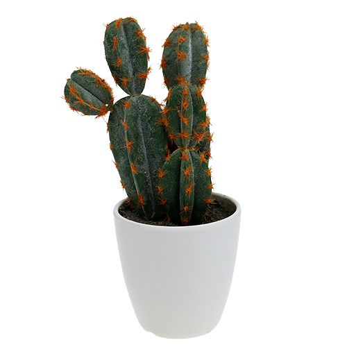 Kunst Kaktus ∅20 cm, Kostenloser Zierkies