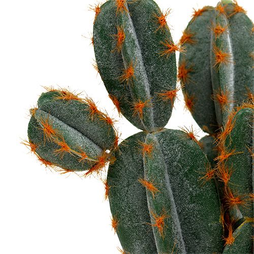 Kunstkaktus Kaktus künstlich 34 cm hoch in Rheinland-Pfalz