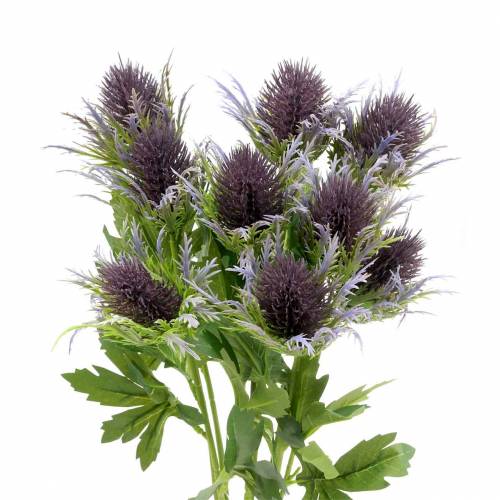 Floristik24 Distel-Zweig künstlich Blau-Violett 68cm 3St
