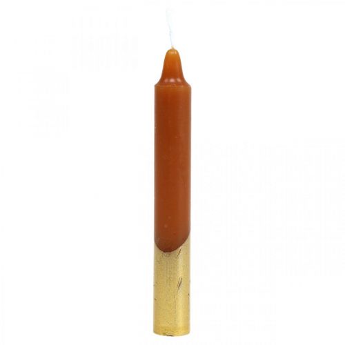 Floristik24 Baumkerzen Pyramidenkerzen Ø13×H105mm Braun, Golden 10St