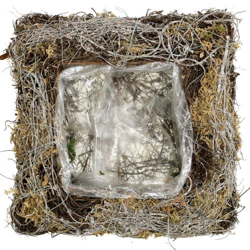 Floristik24 Kissen Moos, Rebe 25cm x25cm