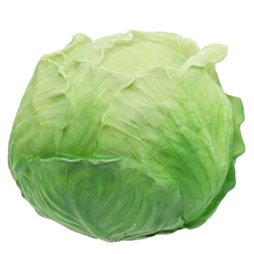 Weißkohl Ø16cm