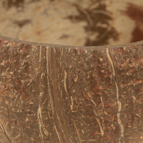 Floristik24 Kokosnuss Schale Natur Deko Kokosschale halbiert 10cm 6 St