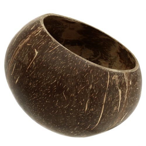 Floristik24 Kokosnuss Schalen poliert Natur 5 St