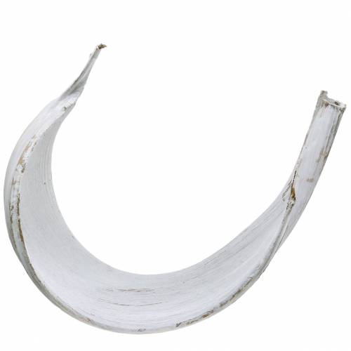 Artikel Kokosschale Kokosblatt Weiß gewaschen Naturdeko 35cm