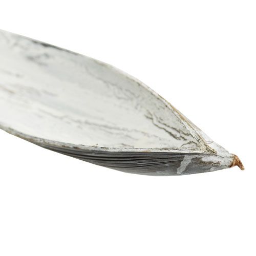 Kokosschale Kokosblatt weiß gewaschen 60cm