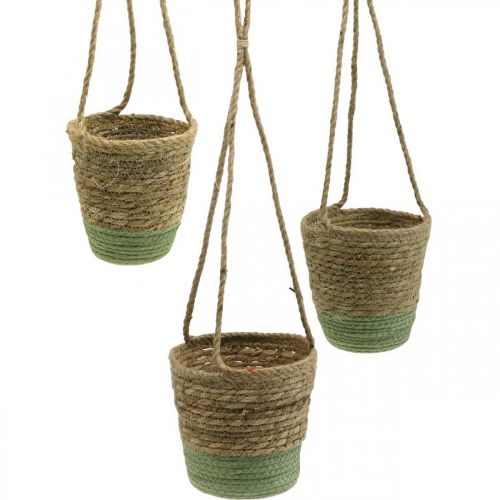 Floristik24 Blumenampel, Naturkorb, Pflanzgefäß zum Hängen Naturfarben, Grün Ø19/17/15cm 3er-Set