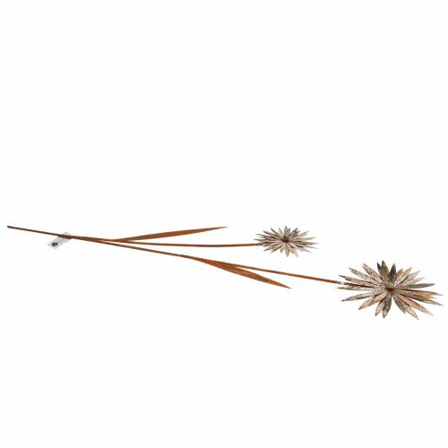 Floristik24 Gartenstecker Kornblumen Edelrost Metall Weiß Ø10/15cm H66cm