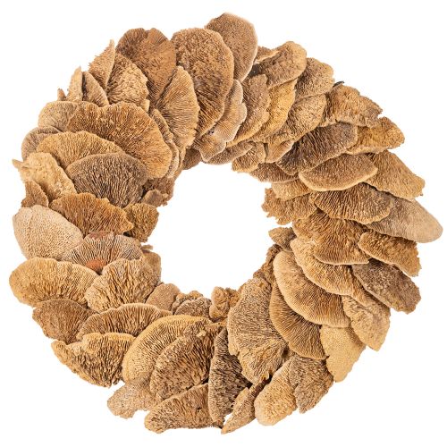Baumschwamm Kranz naturfarben für Tür oder Wanddekoration 37cm kaufen | Floristik24.de