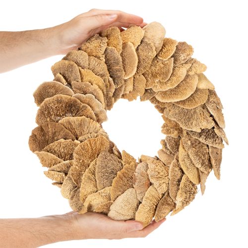 Baumschwamm Kranz naturfarben für Tür oder Wanddekoration 37cm | Floristik24.de