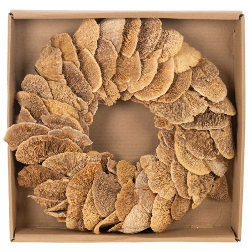 Baumschwamm Kranz naturfarben für Tür oder Wanddekoration 37cm | Floristik24.de