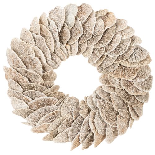 Kranz Baumschwamm Naturdeko 37cm