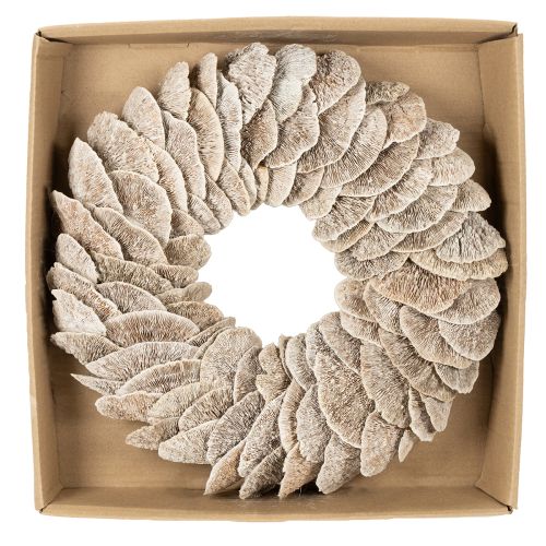 Kranz Baumschwamm Naturdeko 37cm | Floristik24.de