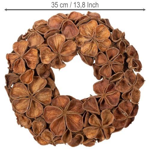 Landlotus Kranz getrocknet Dekoration Türkranz 35cm | Floristik24.de