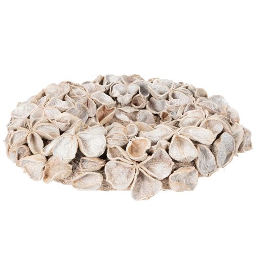Kranz Landlotus Blüte Naturdeko Trockenblumen 35cm | Floristik24.de
