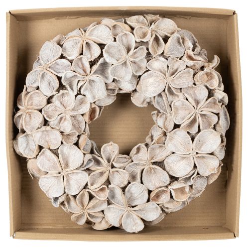 Kranz Landlotus Blüte Naturdeko Trockenblumen 35cm | Floristik24.de
