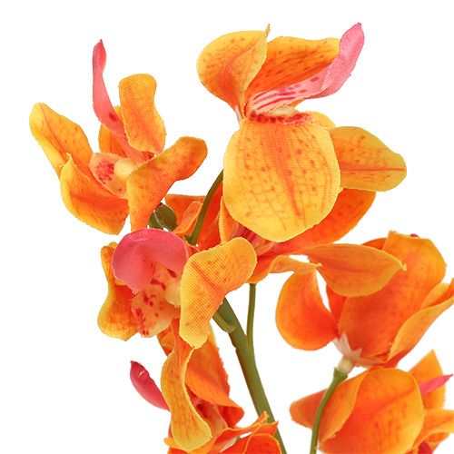 Floristik24 Künstliche Orchidee Mokara Orange 50cm 6St