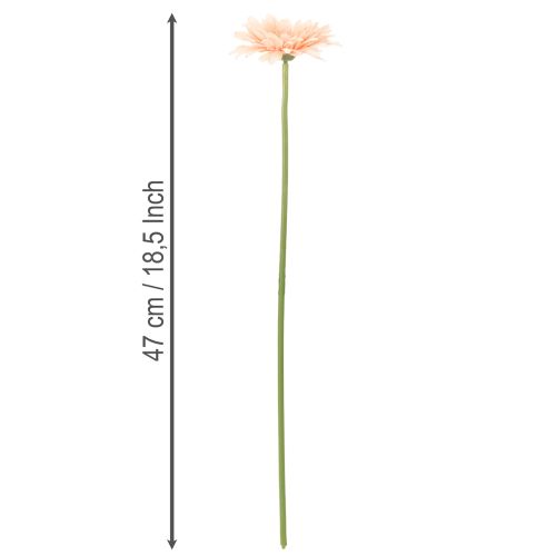 Künstliche Blumen Gerbera Apricot 47cm 6St | Floristik24.de
