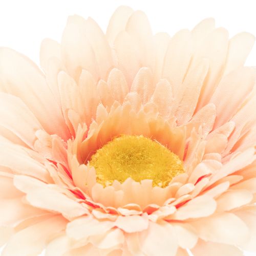 pflanztöpfe kopf Blumentopf Kopf, 16 cm – Herbertle main image 1