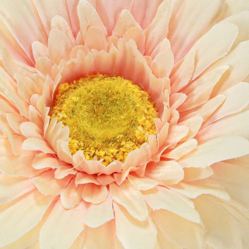Artikel Künstliche Blumen Gerbera Apricot 47cm