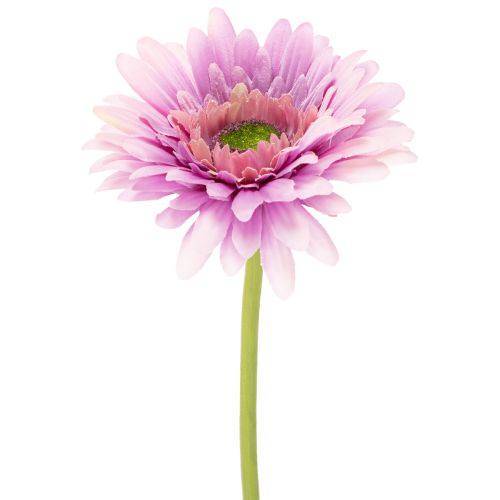 Künstliche Blumen Gerbera Garten Kunstblumen Lila 47cm 6St kaufen | Floristik24.de