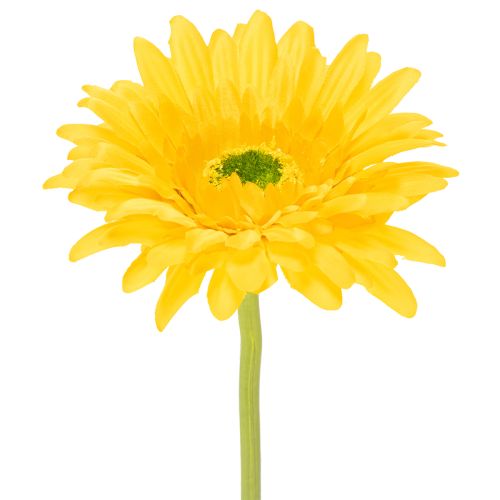 Künstliche Blumen Gerbera Sonnengelb Gartenblume 47cm 6St kaufen | Floristik24.de