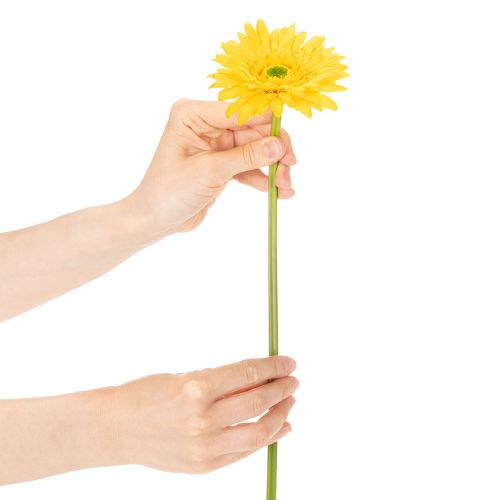 Künstliche Blumen Gerbera Sonnengelb Gartenblume 47cm 6St | Floristik24.de