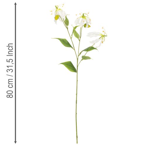 Künstliche Gloriosa Blume weiss gelb eleganter Blütenzweig für Dekoration 80cm 3St | Floristik24.de