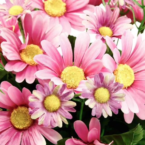 Kunstblumenstrauß Margeriten Pink 44cm-08316 Künstliche Floristik24.de