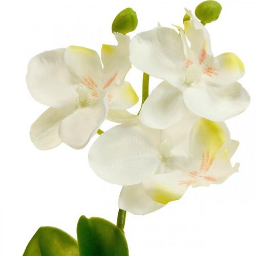 Künstliche Orchideen Kunstblume Orchidee Weiß 20cm