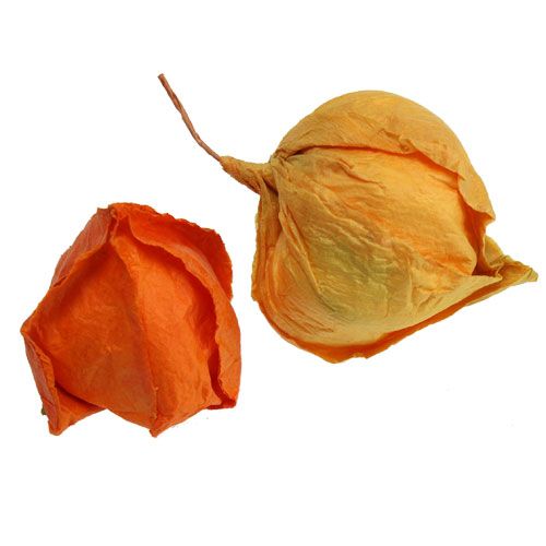 Floristik24 Künstliche Physalis sort. 32St