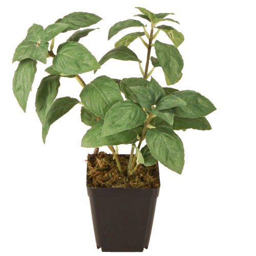 Artikel Künstliches Basilikum im Topf Kräuter in Grün H22cm