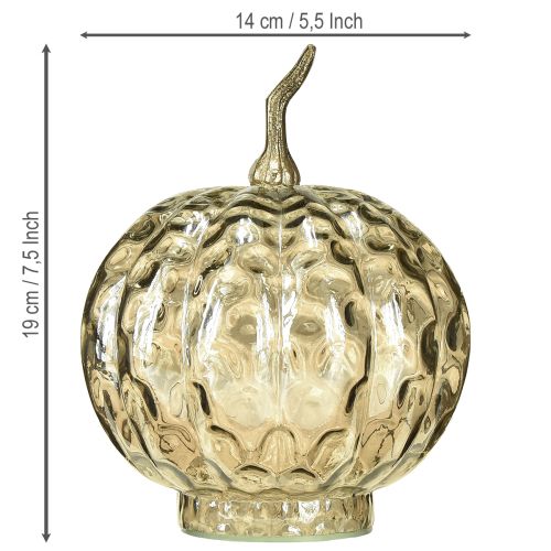 Artikel Kürbis Deko Glas Glaskürbis Tischdeko Herbst Ø14cm H19cm