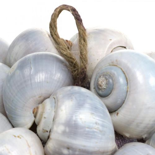 Artikel Dekokugel Seeschnecken Muschelkugel Naturdeko maritim Ø19cm