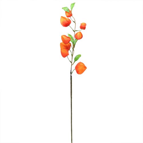 Floristik24 Kunstblume Orange Lampionblume Physalis Deko Seidenblumen 93cm 2 St
