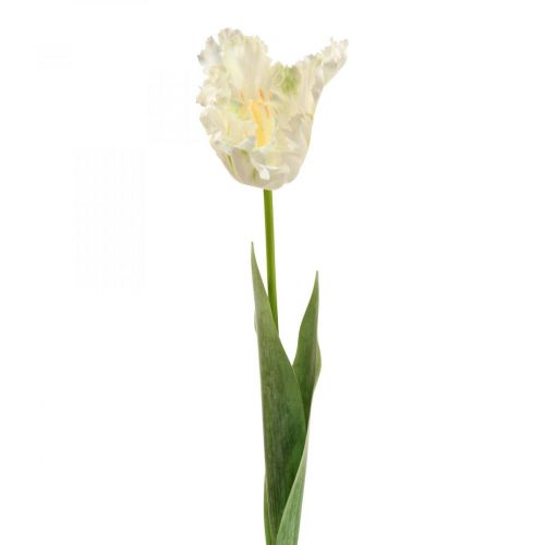 Floristik24 Kunstblume, Papagei Tulpe Weiß Grün, Frühlingsblume 69cm