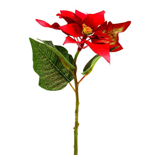 Floristik24 Kunstblumen Weihnachtsstern rot L73cm