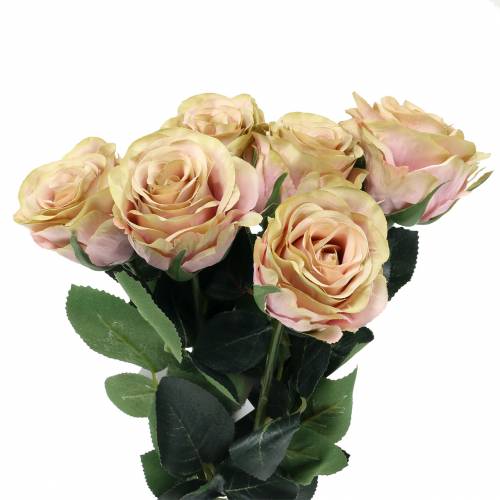 Floristik24 Kunstrose gefüllt Creme, Rosa Ø6cm L37cm 6St